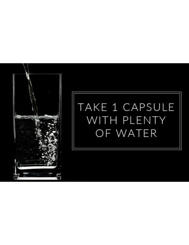 Viazene Gold – Performance and Stamina Booster | Sample